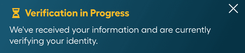 10_Verification in Progress.png