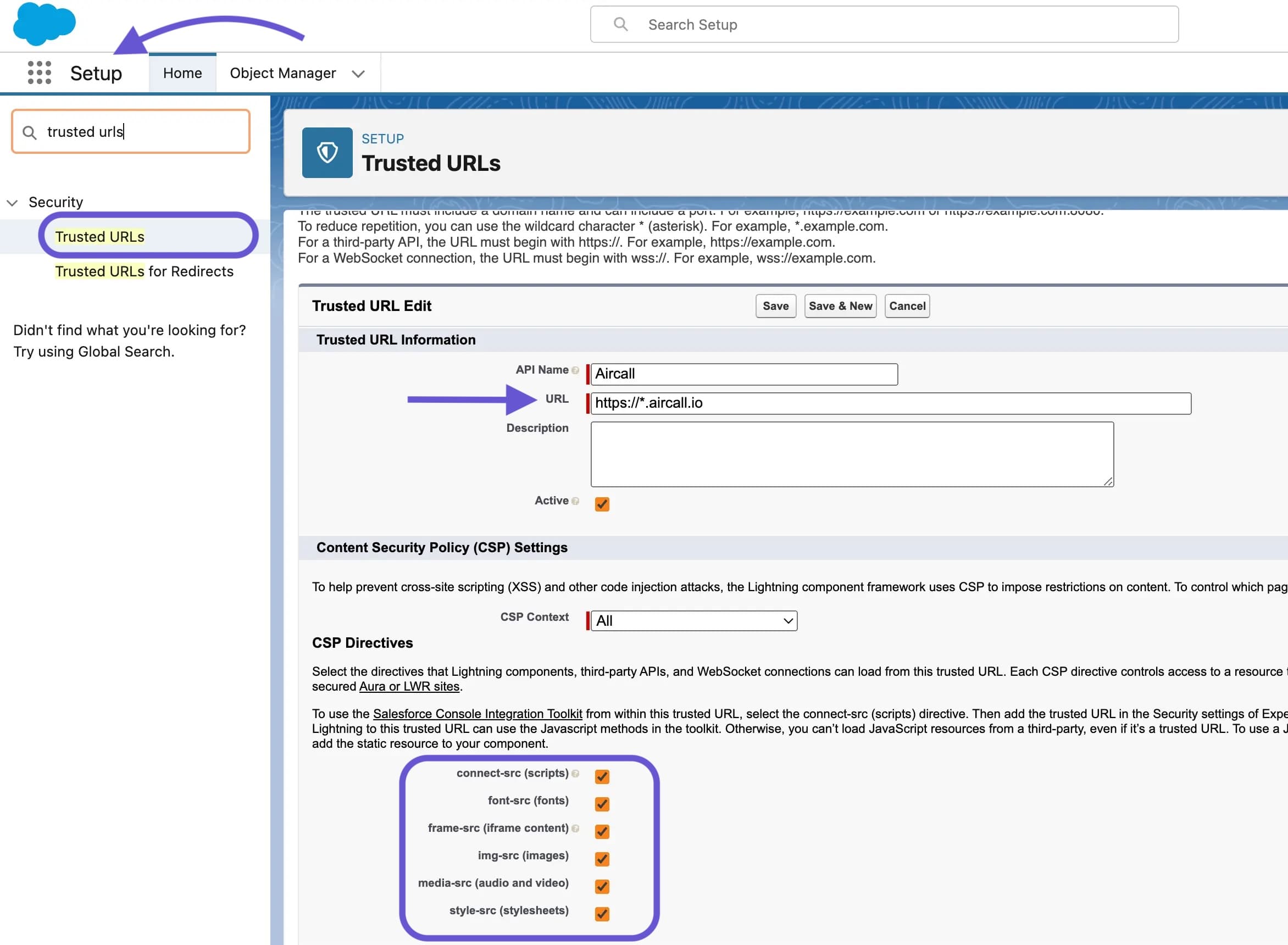 Setup console in Salesforce and where to find the API Fielf, URL, etc.